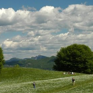 Il Maggio dei Parchi di Liguria