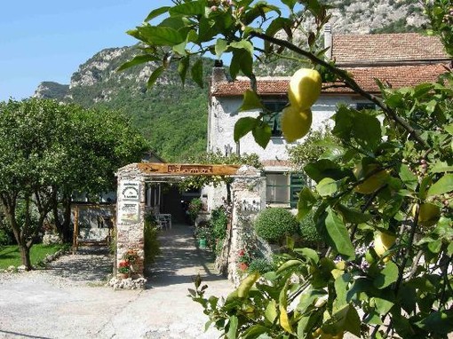 Agriturist e Confagricoltura Liguria: buono il bilancio della stagione estiva che va a chiudersi Agriturist e Confagricoltura Liguria: buono il bilancio della stagione estiva che va a chiudersi