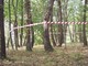 Land art in Val Bormida: "Un nastro lega i cerri nel bosco di San Giovanni"