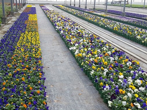 immagine di repertorio