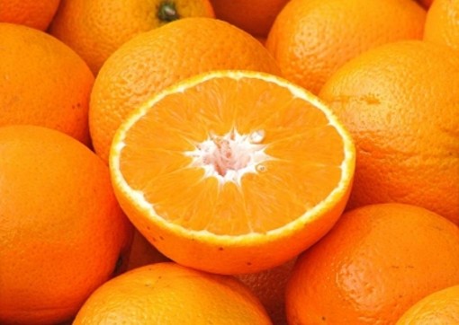 Le arance della salute di Airc tornano nelle piazze per sostenere la ricerca sul cancro e ricordare le abitudini di vita salutari