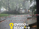 Foto tratte da pagina Facebook "Savona da Scoprire" Foto tratte da pagina Facebook "Savona da Scoprire"