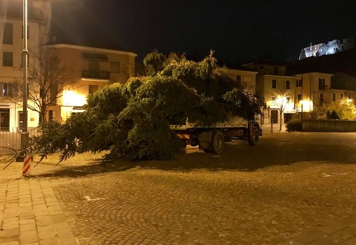 Cairo, è arrivato l'albero di Natale (FOTO)
