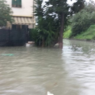 Albenga è nuovamente sott'acqua - aggiornamento 13 - video del Centa