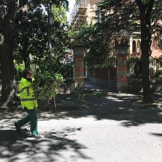 Forti raffiche di vento ad Albenga: danni alle serre e disagi in città