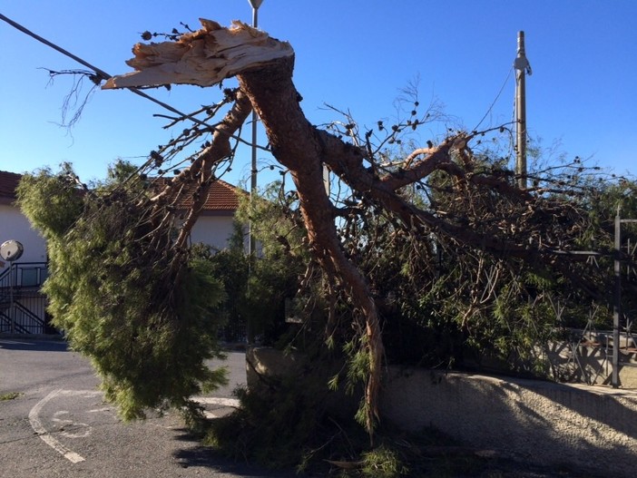 Immagine di repertorio Immagine di repertorio