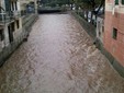Rio Basco ad Albisola Superiore (courtesy foto Daniela Bolla); Rio Basco ad Albisola Superiore (courtesy foto Daniela Bolla);