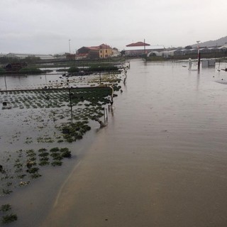 Coldiretti denuncia: "Stato debitore nei confronti degli agricoltori, necessario l'intervento dell'anticorruzione"
