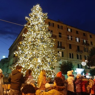 Savona, in occasione delle festività natalizie ritorna l'albero addobbato &quot;sostenibile&quot;