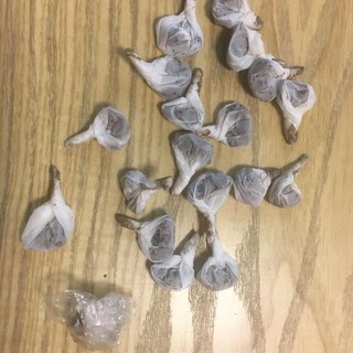 Albenga, in possesso di hashish e di 18 grammi di eroina: arrestato dalla polizia locale