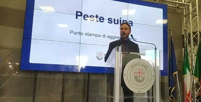 Peste suina, il vicepresidente regionale Piana: "In Liguria dati stabili, dal ministero in arrivo 50 milioni"