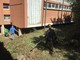 Finale, professori e Gruppo Alpino al lavoro per risanare le aree verdi intorno alle scuole Aycardi-Ghiglieri (FOTO)