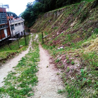 Un "patrimonio verde" da oltre dodicimila metri quadri attorno alle scuole "Aycardi-Ghiglieri" di Finale Ligure (FOTO e VIDEO)