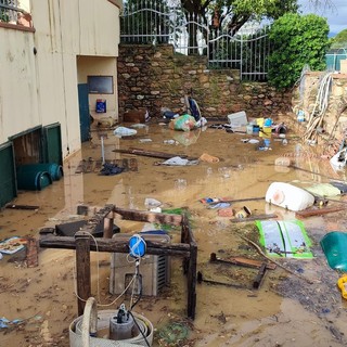 Facebook "comune di Albenga"