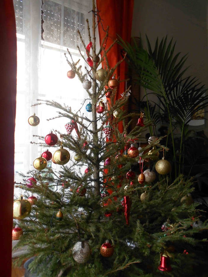 L'associazione dei consumatori "Voglio Vivere" chiede a Ikea di risarcire chi ha comprato l'albero di Natale L'associazione dei consumatori "Voglio Vivere" chiede a Ikea di risarcire chi ha comprato l'albero di Natale
