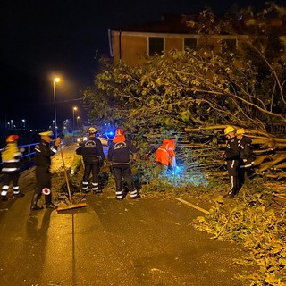 Finalborgo, cede un grosso albero in Piazza Monsignor Mantero: nessun ferito (FOTO) Finalborgo, cede un grosso albero in Piazza Monsignor Mantero: nessun ferito (FOTO)