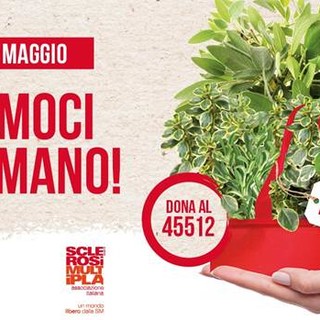 Dal 29 maggio al 6 giugno si accendono i riflettori della Settimana Nazionale della sclerosi multipla