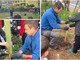 Giornata Nazionale degli Alberi, a Borghetto il "Mosaico Verde" di via Maiella si arricchisce grazie alle scuole (FOTO) Giornata Nazionale degli Alberi, a Borghetto il "Mosaico Verde" di via Maiella si arricchisce grazie alle scuole (FOTO)