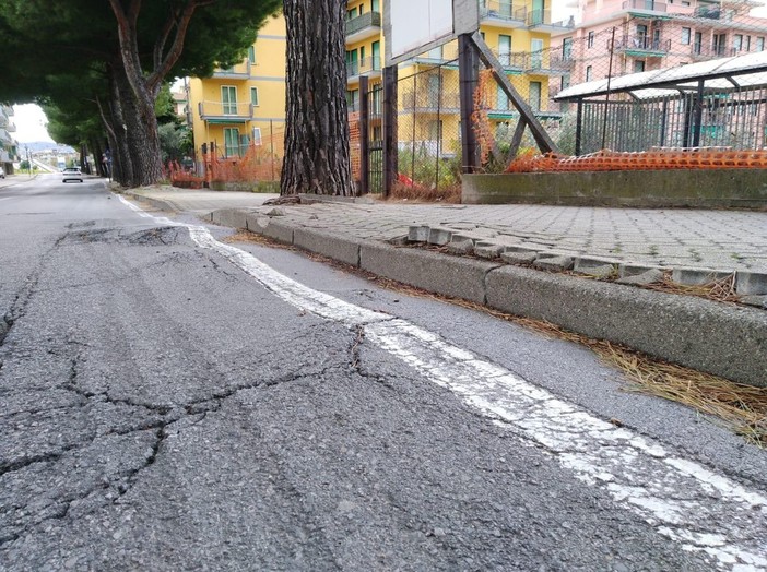Borghetto: interventi sugli alberi pericolanti. L'amministrazione annuncia: "Due nuovi alberi per ogni abbattuto" Borghetto: interventi sugli alberi pericolanti. L'amministrazione annuncia: "Due nuovi alberi per ogni abbattuto"