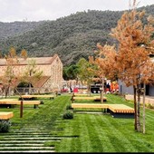 Noli, alberi del nuovo parco di via Belvedere sotto osservazione: “Senza una ripartenza vegetativa verranno sostituiti” Noli, alberi del nuovo parco di via Belvedere sotto osservazione: “Senza una ripartenza vegetativa verranno sostituiti”