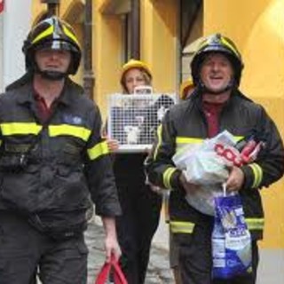 Un "Aiuto per gli animali terremotati" con NoiAnimali Savona Onlus