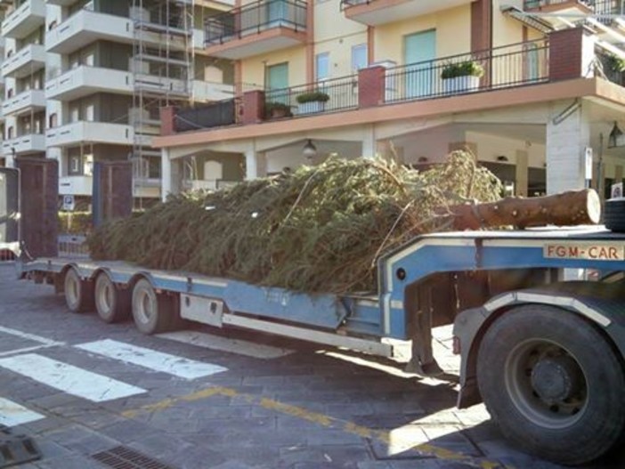 Andora accende l'albero di Natale