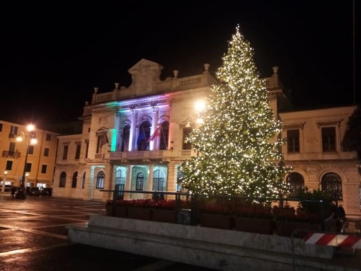 Savona, acceso l'albero di Natale in Piazza Sisto (FOTO)