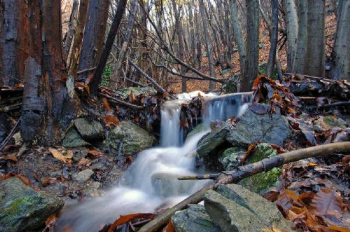 Cairo: esposte a Palazzo di Città le foto dell'Adelasia Cairo: esposte a Palazzo di Città le foto dell'Adelasia