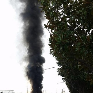 Foto di Pietro Parodi