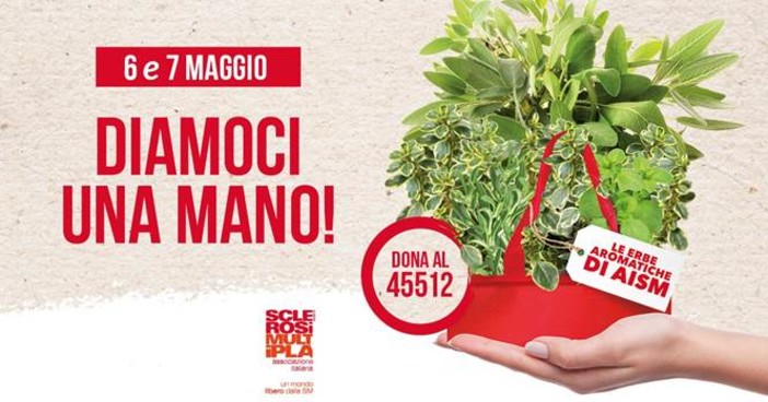 Dal 29 maggio al 6 giugno si accendono i riflettori della Settimana Nazionale della sclerosi multipla Dal 29 maggio al 6 giugno si accendono i riflettori della Settimana Nazionale della sclerosi multipla