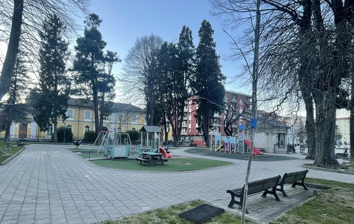 Cairo mette in sicurezza i giardini di via Monsignor Bertolotti: tiranti di consolidamento per le alberature ad alto fusto