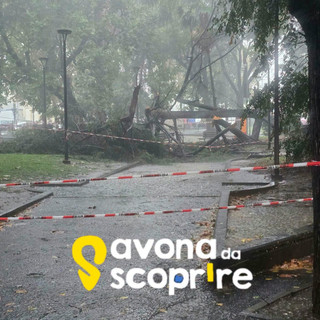 Foto tratte da pagina Facebook "Savona da Scoprire" Foto tratte da pagina Facebook "Savona da Scoprire"