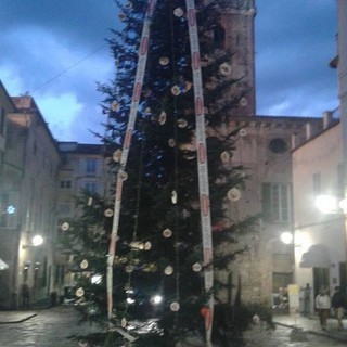 Tanti eventi sotto l'albero ad Albenga