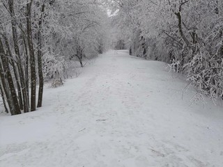 Foto pagina Facebook "Arpal" Foto pagina Facebook "Arpal"