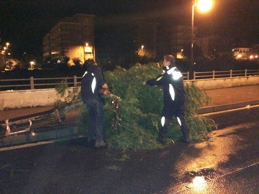 Immagine di repertorio Immagine di repertorio