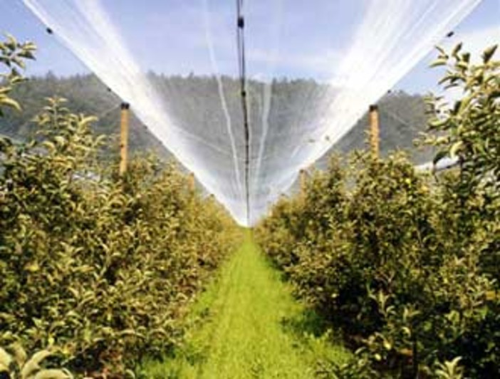 immagine generica immagine generica