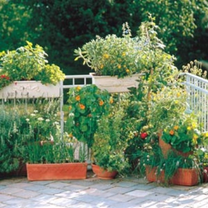 That's Aromi arriva nel weekend a  Piani di Celle