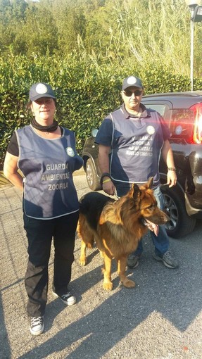 Alassio, i volontari dell'Accademia Kronos vigilano sulle aree verdi