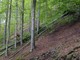 “Giornata nazionale degli alberi” 2014.Dove si celebra in provincia di Savona?: i Verdi si interrogano “Giornata nazionale degli alberi” 2014.Dove si celebra in provincia di Savona?: i Verdi si interrogano