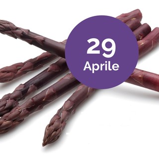 "Albenga in tavola", il 29 aprile lo Show Cooking dedicato all'asparago violetto