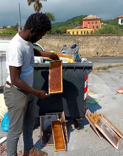 Arnie e api abbandonate in un cassonetto dei rifiuti a Legino. I titolari dell'apiario derubati: &quot;Purtroppo non sono le nostre&quot;