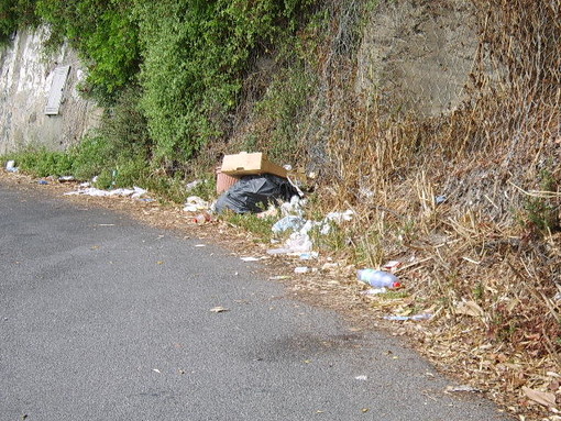 Immagine generica Immagine generica