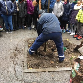 Savona celebra la Giornata nazionale dell'albero con i bambini delle scuole (FOTO)