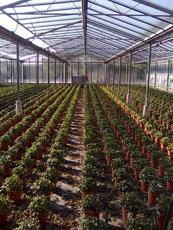 Albenga: nuove norme fiscali in agricoltura, un convegno della Coldiretti Albenga: nuove norme fiscali in agricoltura, un convegno della Coldiretti