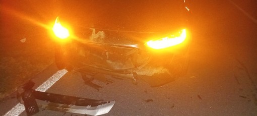 Doppio incidente sulla SS334 prima di Stella: cinghiali distruggono due auto