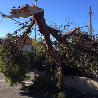 Immagine di repertorio