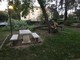Carcare, albero cade nei giardini di Villa Barrili (FOTO)