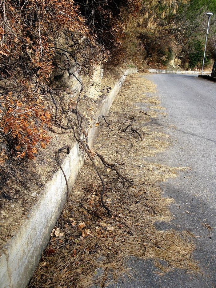 Foto tratte dalla pagina Facebook "Parliamo di Andora"