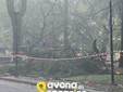 Foto pagina Facebook "Savona da Scoprire" Foto pagina Facebook "Savona da Scoprire"