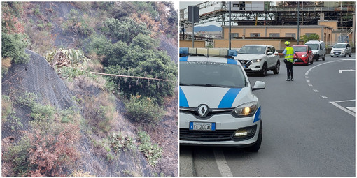 Albero pericolante a ridosso dell'Aurelia tra Savona e Albissola: intervengono i Vigili del fuoco per la messa in sicurezza (FOTO)